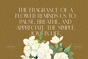 Whoper Elegant Serif Font Typeface, a Serif Font by Perfectype (Thumbnail 2 of 10)