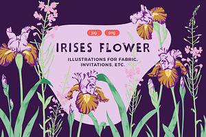 Irises Flower Set