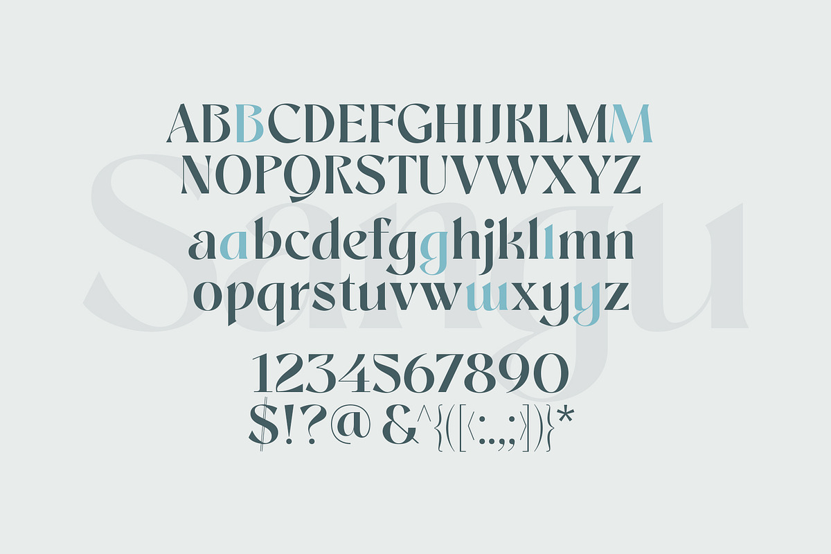 Sangu, a Serif Font by nurrontype (Photo 12 of 12)