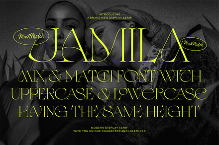 Jamila Stylist Display Serif, a Serif Font by RedyStudio