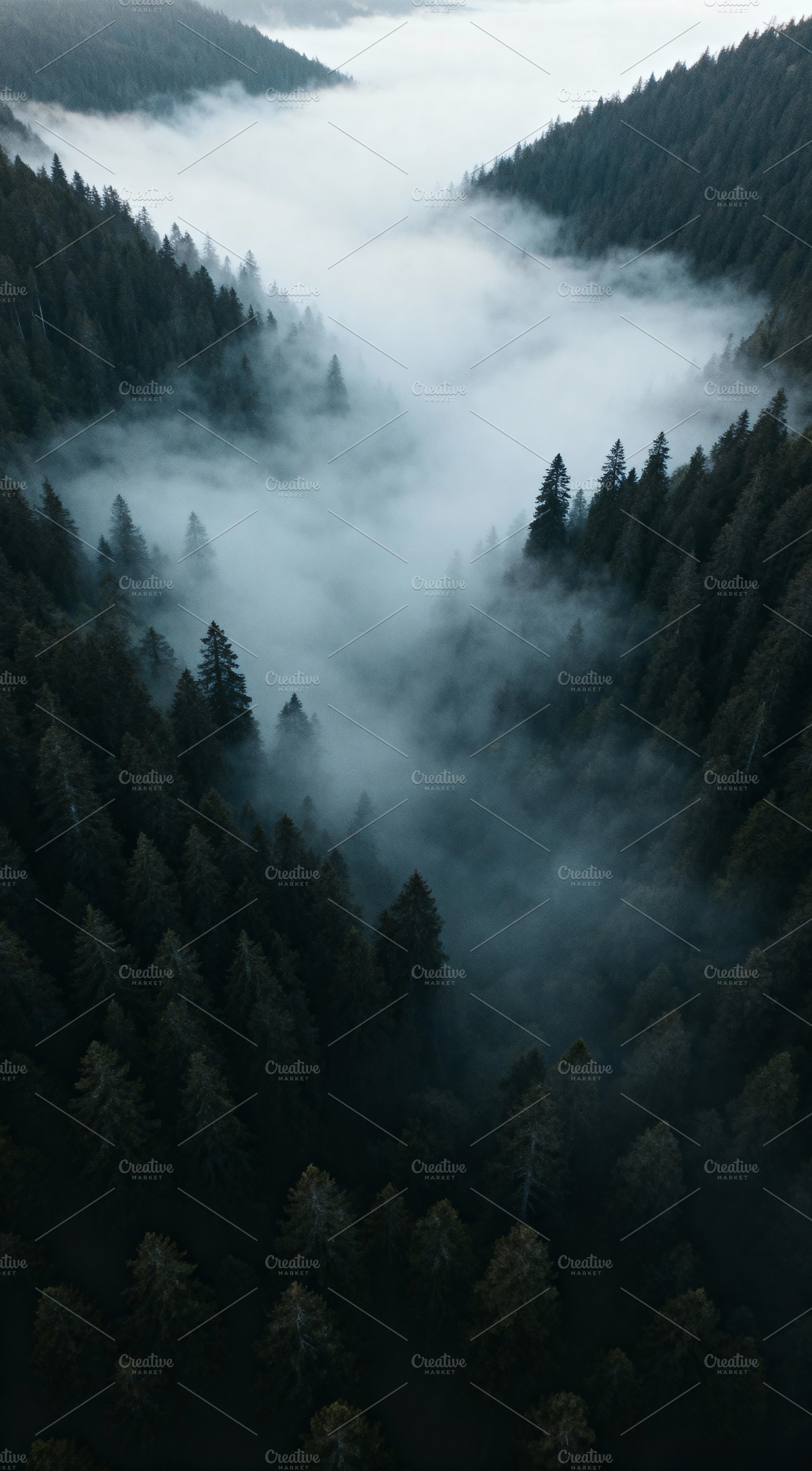 Aerial Misty Alpine Forest Valley, a Nature Photo by Virgo Studio