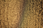 34 Colored Glass Backgrounds, a Texture Graphic by Wildlife Wonder (Thumbnail 13 of 36)