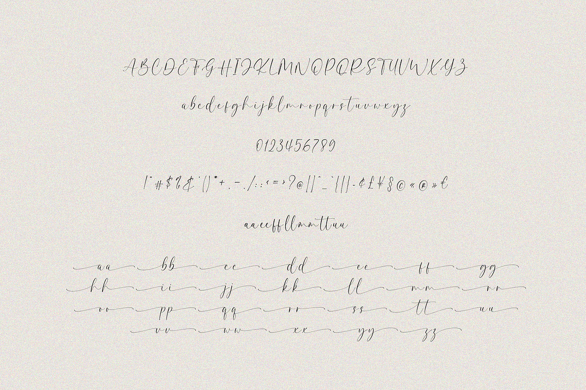 Willowshine Calligraphy Font, a Script Font by Pen Culture (Photo 9 of 9)
