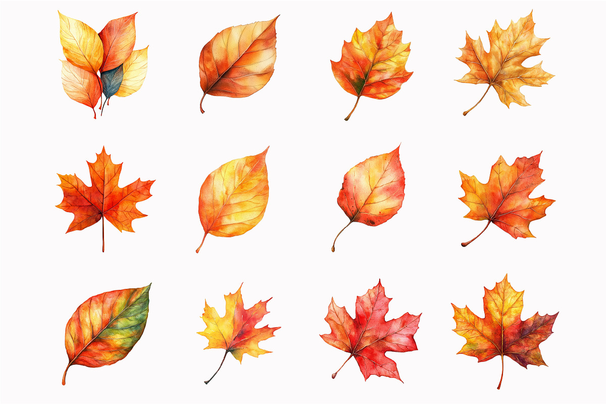 Watercolor Autumn Leaves Clipart, a Seasonal Illustration by Design Market (Photo 4 of 4)