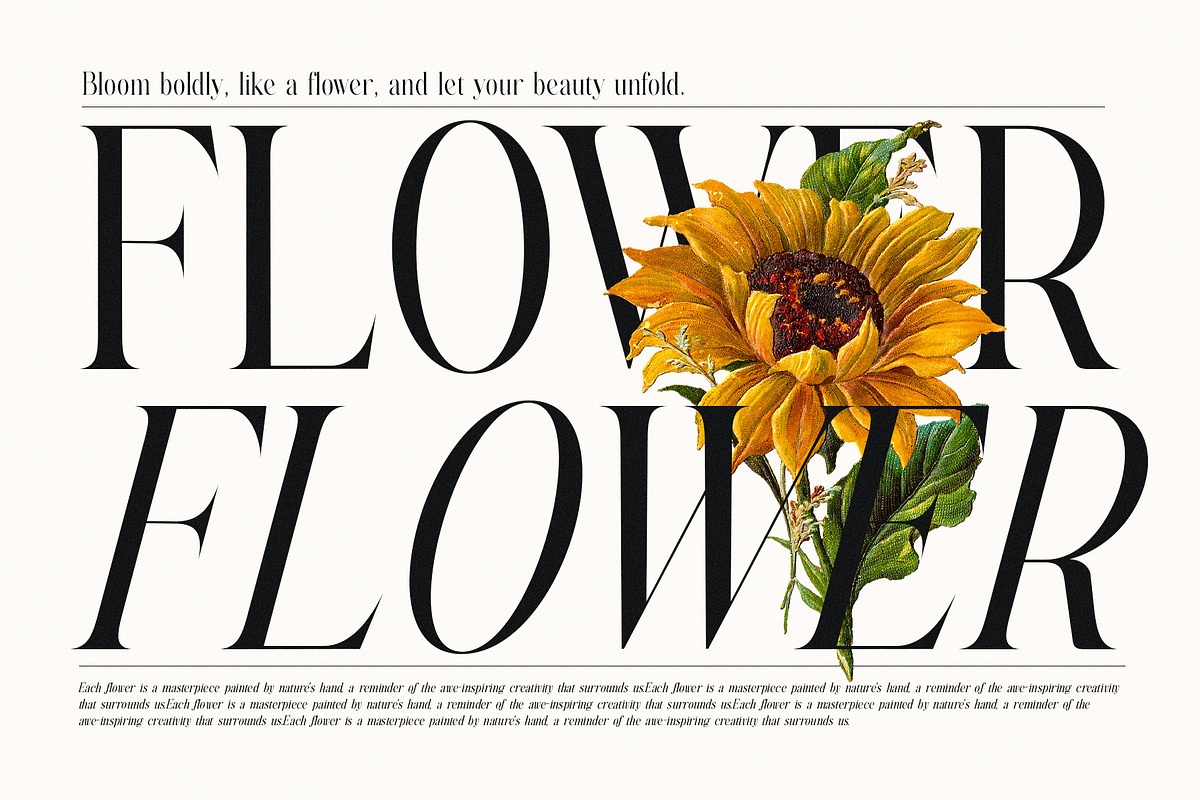 Nother Gambus Family Serif Font, a Serif Font by Graphicxell (Photo 2 of 8)