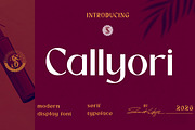 Callyori Sans - Modern Clean Font, a Sans Serif Font by Sanskertype Studio (Thumbnail 1 of 10)