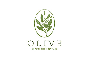 Olive Oil, Virgin Olive Oil Logo, a Branding & Logo Template by jundio studio