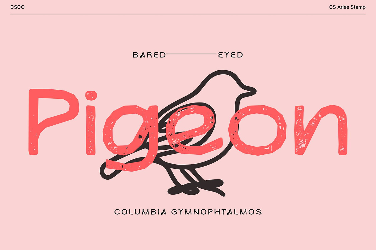 CS Aries Stamp, a Sans Serif Font by Craft Supply Co. (Photo 6 of 8)