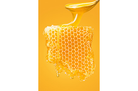 Sweet honeycomb on yellow, a Food & Drink Photo by Volodymyr Melnyk