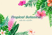 Tropical Botanical Watercolor, an Illustration by LazyArtyCat (Thumbnail 1 of 5)