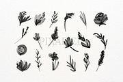 Black Inky Watercolour Flower, an Illustration by Pixafied (Thumbnail 2 of 3)