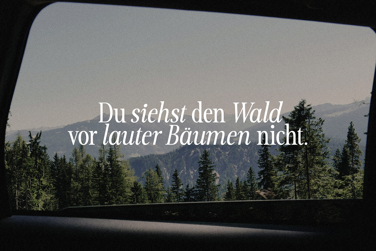 OrchidFunk - Classic Serif Font, a Serif Font by BilberryCreates (Photo 7 of 14)
