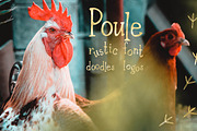 Poule Serif Rustic Font, a Serif Font by LABFcreations (Thumbnail 15 of 16)