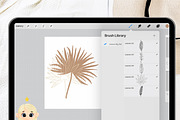 36 Leaf Procreate Stamp Brush, a Brush Add-On by Natalya_Mona_Art (Thumbnail 7 of 9)