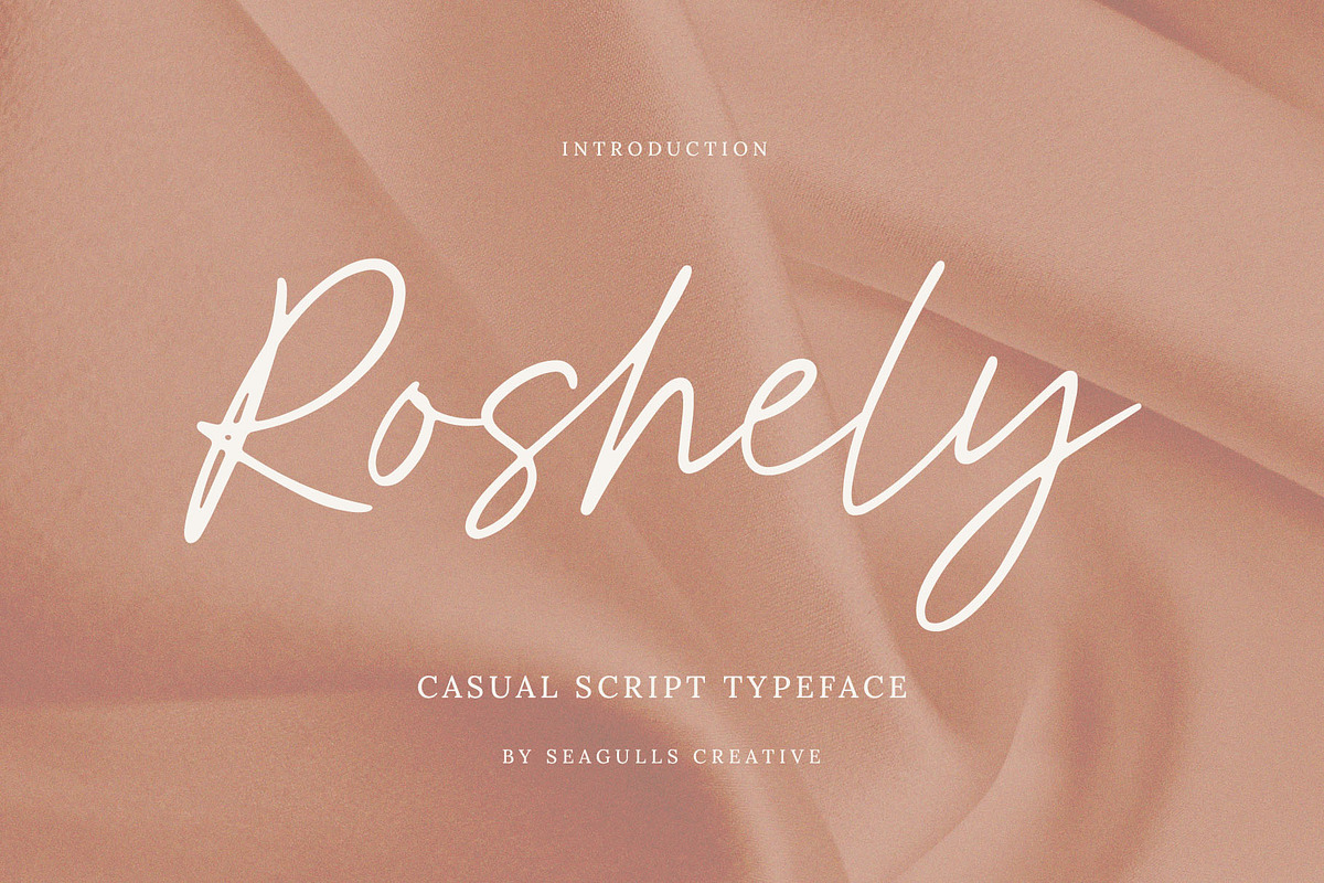 Roshely Casual Script, a Script Font by Seagulls Creative (Photo 1 of 10)