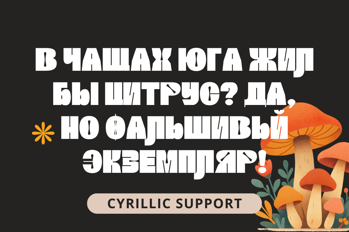 Girthy Display, a Sans Serif Font by Silverdav (Photo 7 of 8)