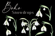 Watercolor Snowdrops, an Object Illustration by Olga Koelsch (Thumbnail 4 of 8)
