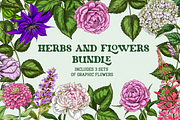 Flowers Illustration Bundle, a Decorative Illustration by Schumacher Shop (Thumbnail 18 of 18)