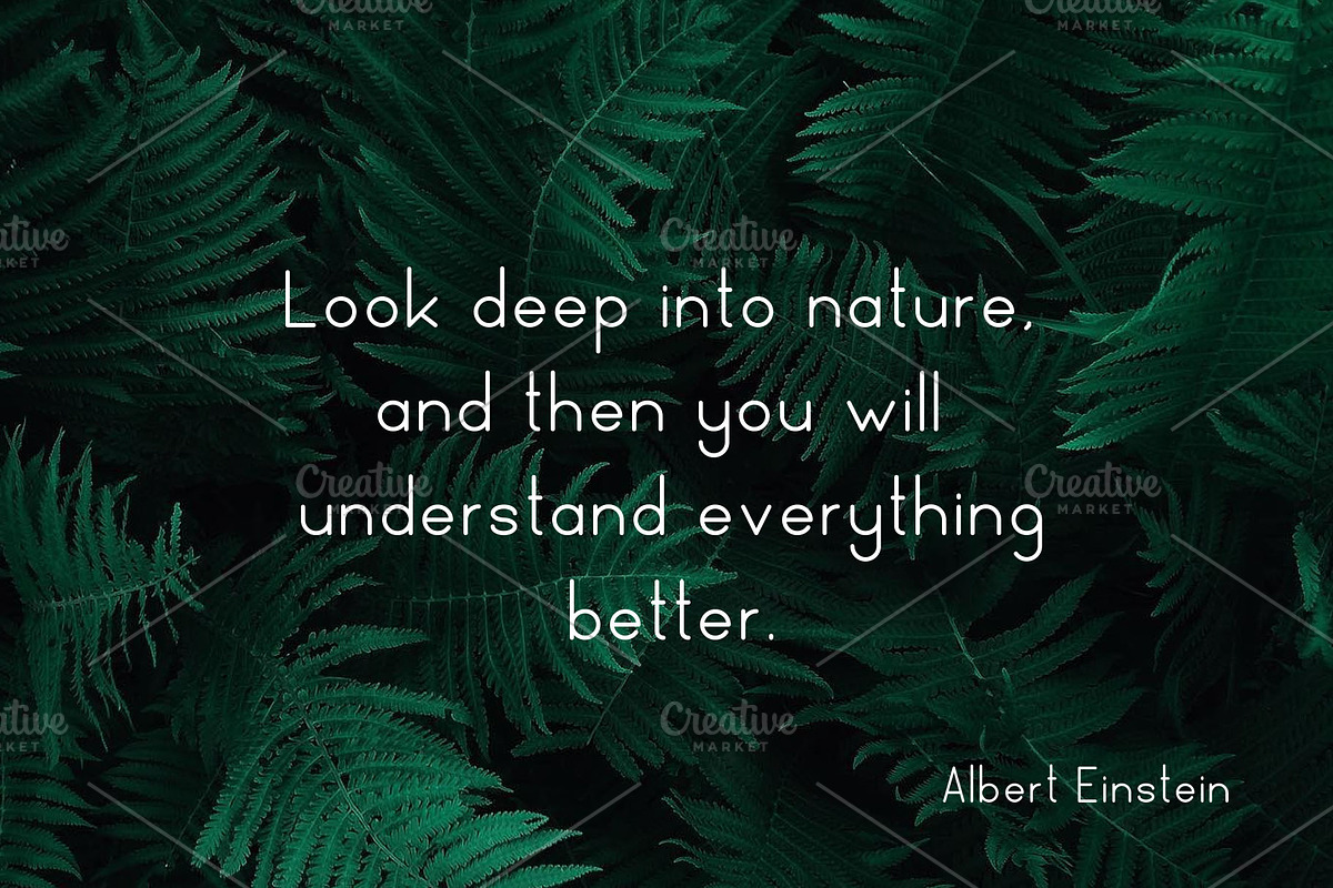 Naturaling Display Font preview 2