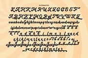 Fradle Script - Retro Bold Fonts, a Script Font by Namara Creative Studio (Thumbnail 9 of 13)