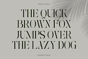 Roxer Stencil - Modern Serif Font, a Serif Font by Nirmana Visual (Thumbnail 6 of 11)