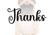 Bulldogs | Script Font, a Handwritten Font by Scratchones (Thumbnail 9 of 9)