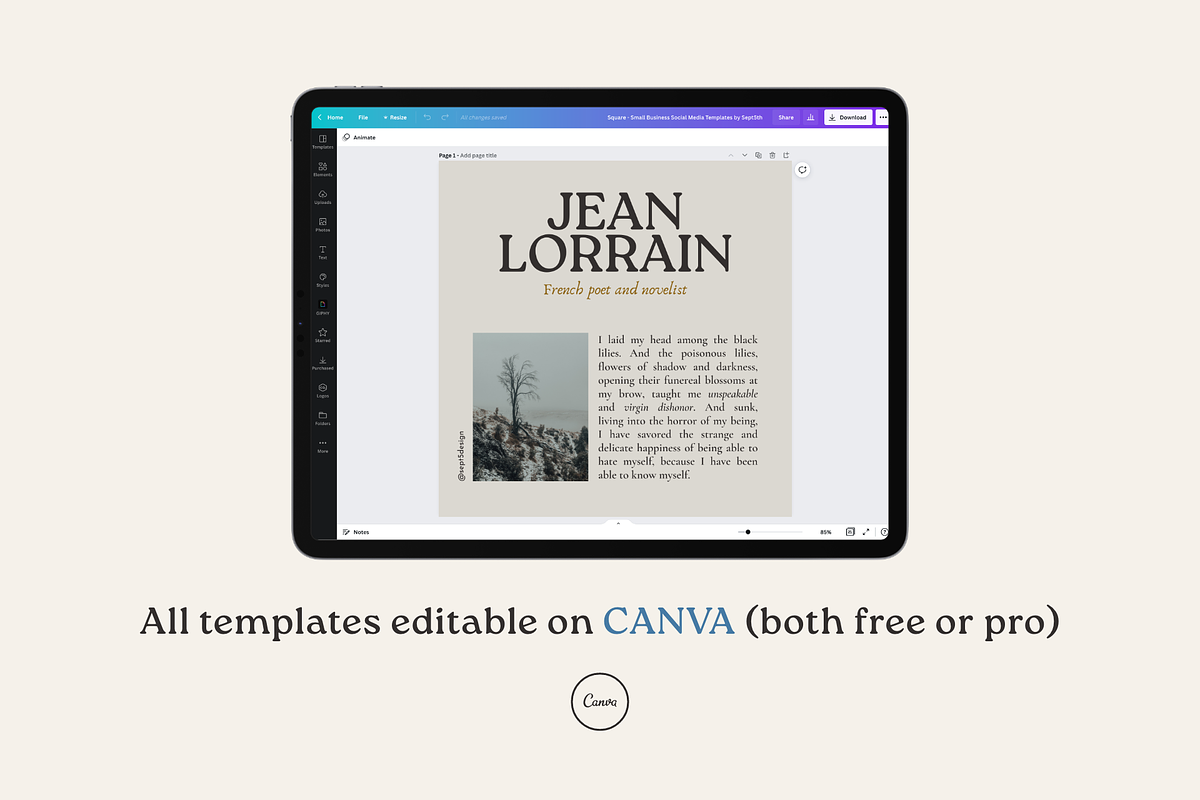 Writers Social Media Vol.5 for CANVA, a Social Media Template by September 5th (Photo 6 of 24)