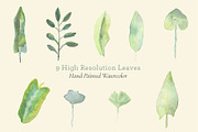 Botanical Watercolor Leaves, a Texture Graphic by Carolyn Packard Design (Thumbnail 2 of 8)