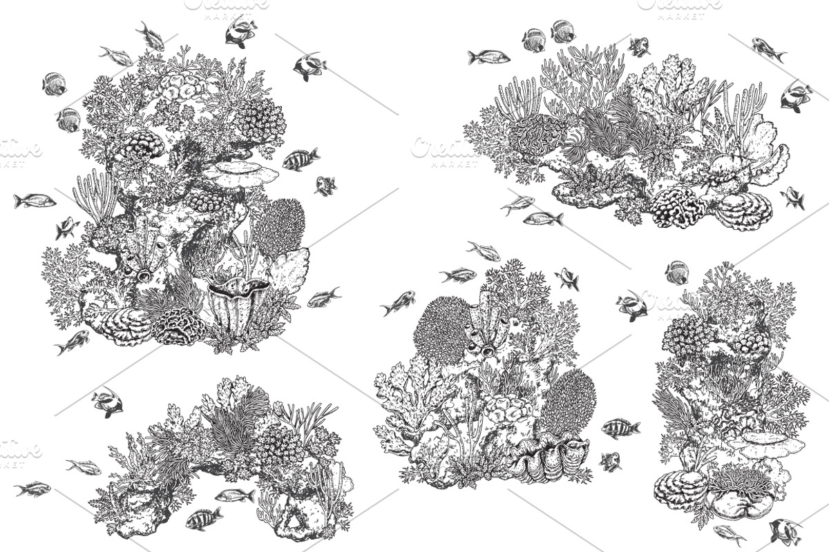 Coral Reef Monochrome, a Decorative Illustration by Valentyna Smordova (Photo 4 of 5)