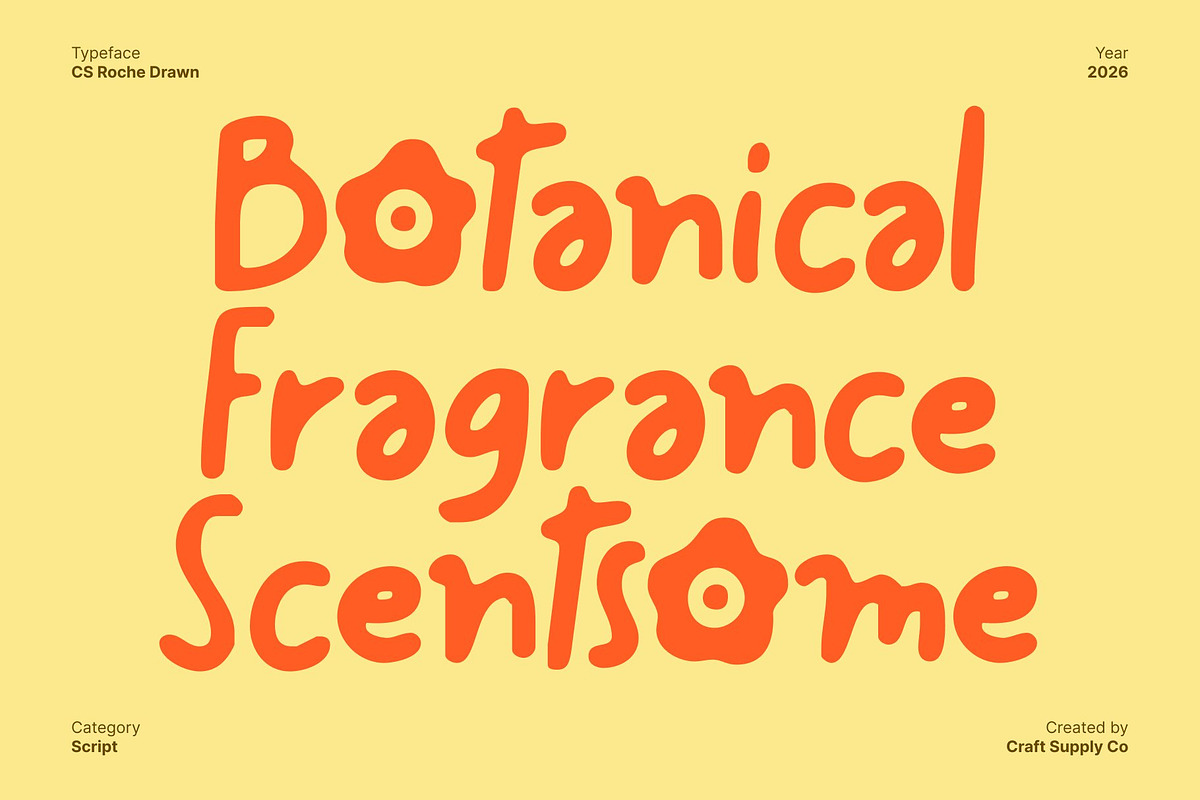 CS Roche Drawn, a Handwritten Font by Craft Supply Co. (Photo 3 of 8)