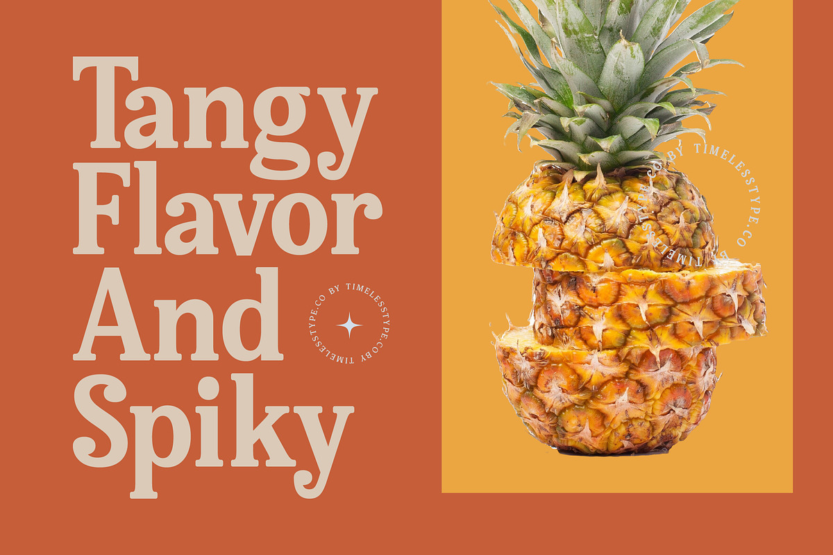 Bellati Nortils Groovy Serif Font, a Serif Font by timelesstype.co (Photo 15 of 20)