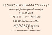 Bekanhy Script Font, a Script Font by NTC Graphic (Thumbnail 5 of 6)