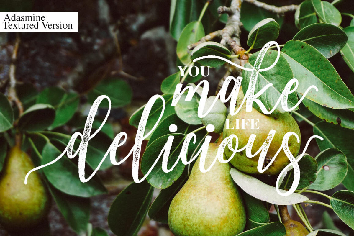 Adasmine Clean & Textured Script, a Script Font by Studio design (Photo 19 of 22)