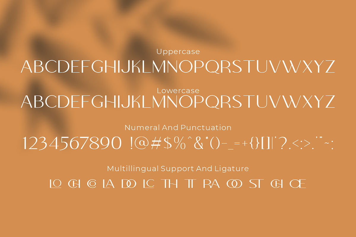 Colabero, Sans Serif Display Font, a Sans Serif Font by Motokiwo (Photo 3 of 10)