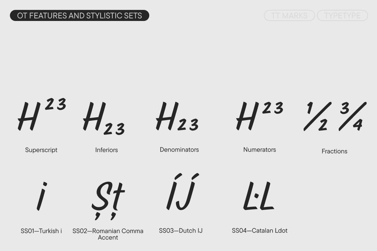 TT Marks, a Script Font by TypeType (Photo 12 of 12)