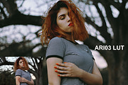 Ariel Bourgoing Luts Pack, an Action Add-On by Bourgoing Presets (Thumbnail 2 of 4)