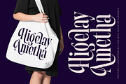 Begosta Modern Display Serif, a Serif Font by timelesstype.co (Thumbnail 2 of 20)