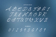 Boogenville #02, a Script Font by GlottaTypeface (Thumbnail 5 of 8)