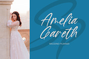 Baterty Spotteam Elegant Brush Font, a Script Font by Letterena Studios Script (Thumbnail 14 of 20)