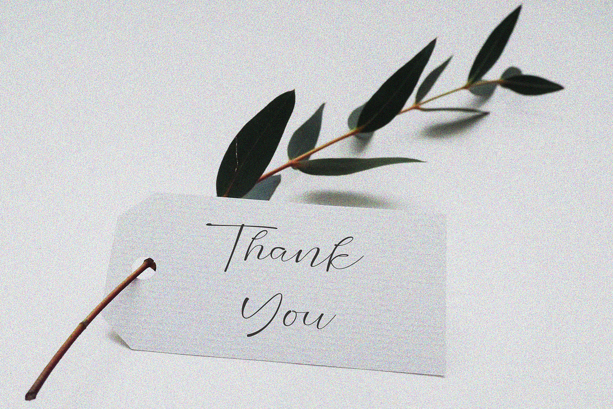 Moura - Modern Script, a Script Font by Flawless And Co (Photo 15 of 16)