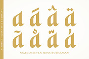 50% Syamsiah Arabic Font, a Script Font by Four Lines Std. (Thumbnail 3 of 11)