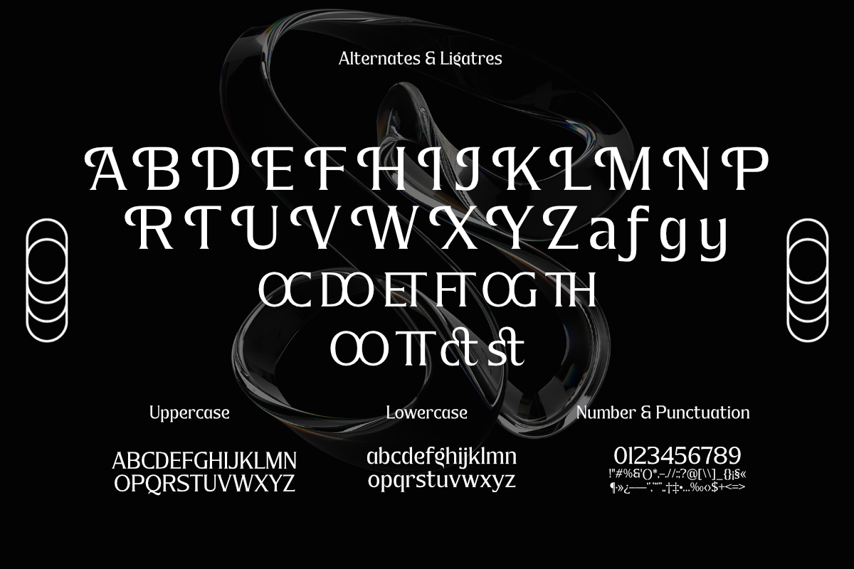 Rega Pira - Elegant Serif Family, a Serif Font by Differentialtype (Photo 5 of 12)