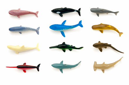 Sea animals shapes 2 containing animals, big, and colors