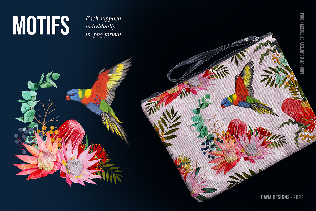 AUSTRALIA FAIR Elements, a Decorative Illustration by Dana Designs (Photo 10 of 14)