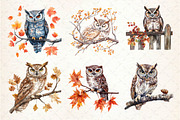 Autumn Owl Clipart Sublimation, an Illustration by Dream Creation (Thumbnail 3 of 6)