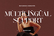 Magich Modern Serif Typeface, a Serif Font by Alfinart (Thumbnail 10 of 10)