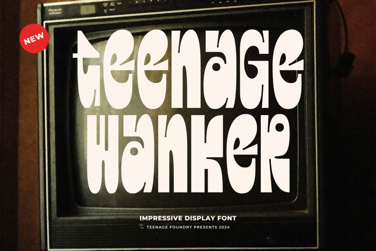 Teenage Wanker, a Slab Serif Font by TeenageFoundry (Photo 1 of 8)