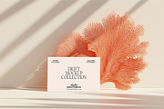 Drift Mockup Collection, a Mac Mockup by Studio Santosha (Thumbnail 6 of 12)