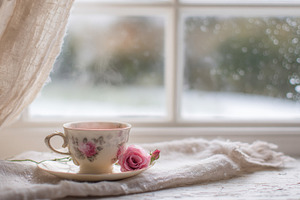 Steaming cup of tea and vintage rose on windowsill on a cold day, a Photo by Studio ANNA