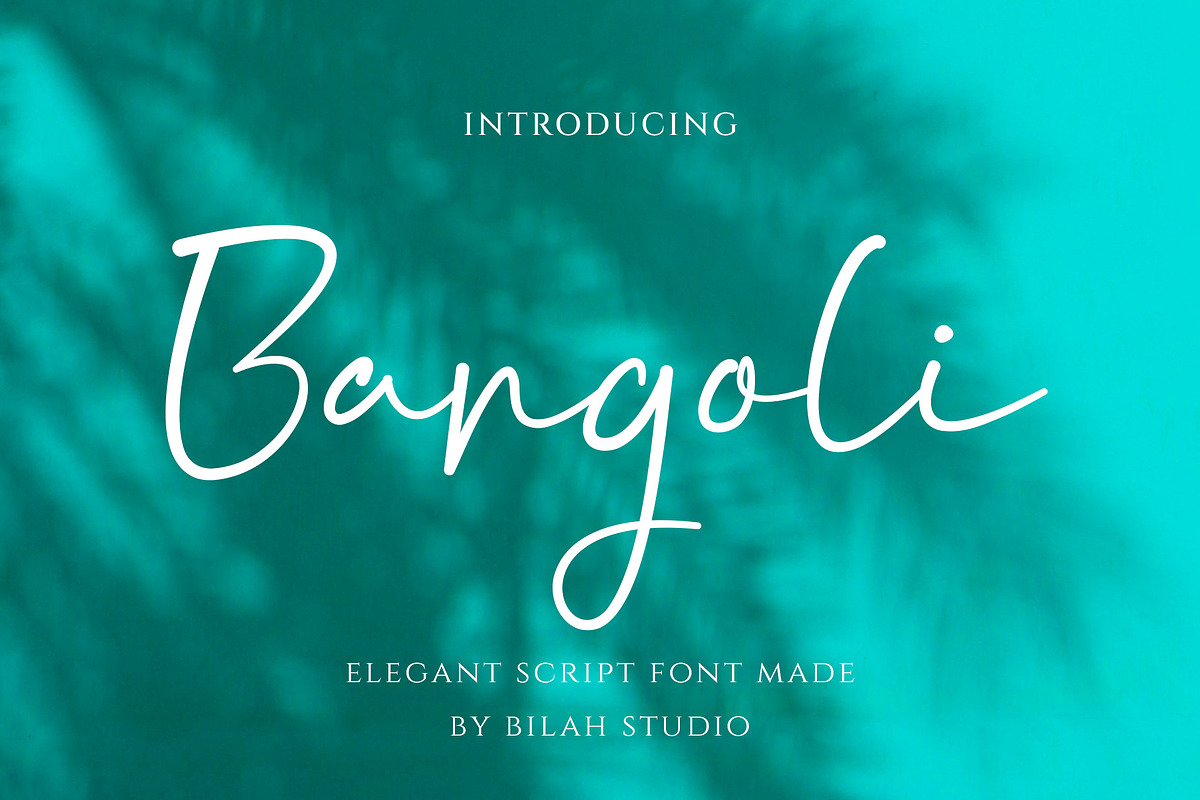 Bargoli Elegant Script Font, a Script Font by Bilahstudio (Photo 1 of 11)